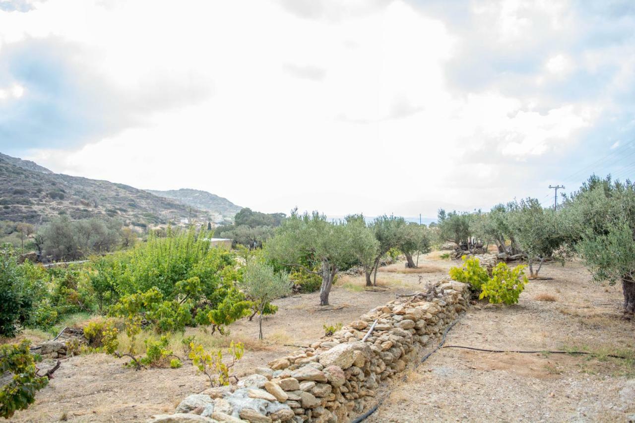 Perivoli House Villa Mylopotas Eksteriør billede
